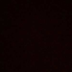 Meet your Posher, Reneishia